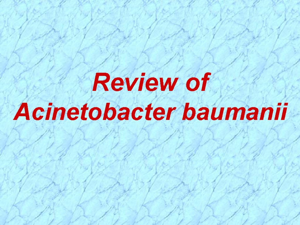 Review of Acinetobacter baumanii